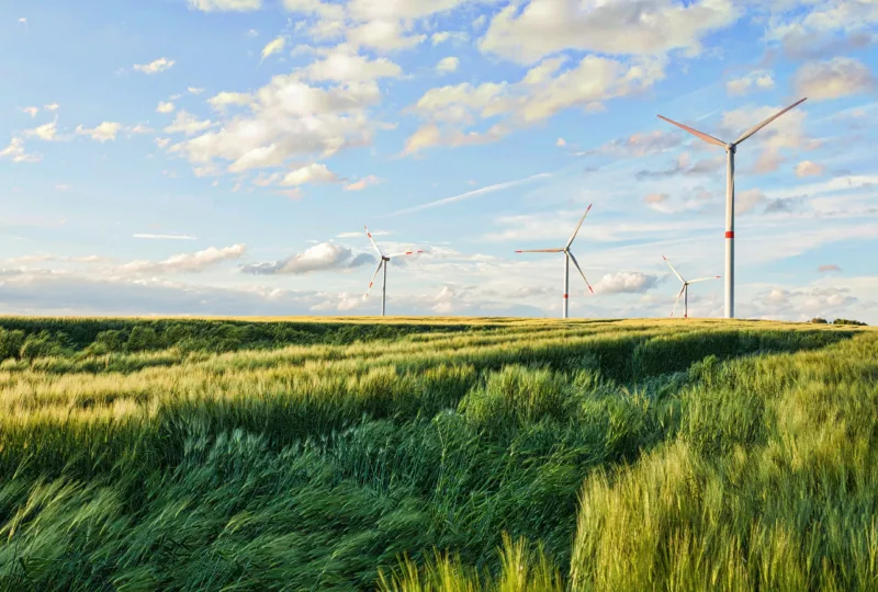 path-to-net-zero