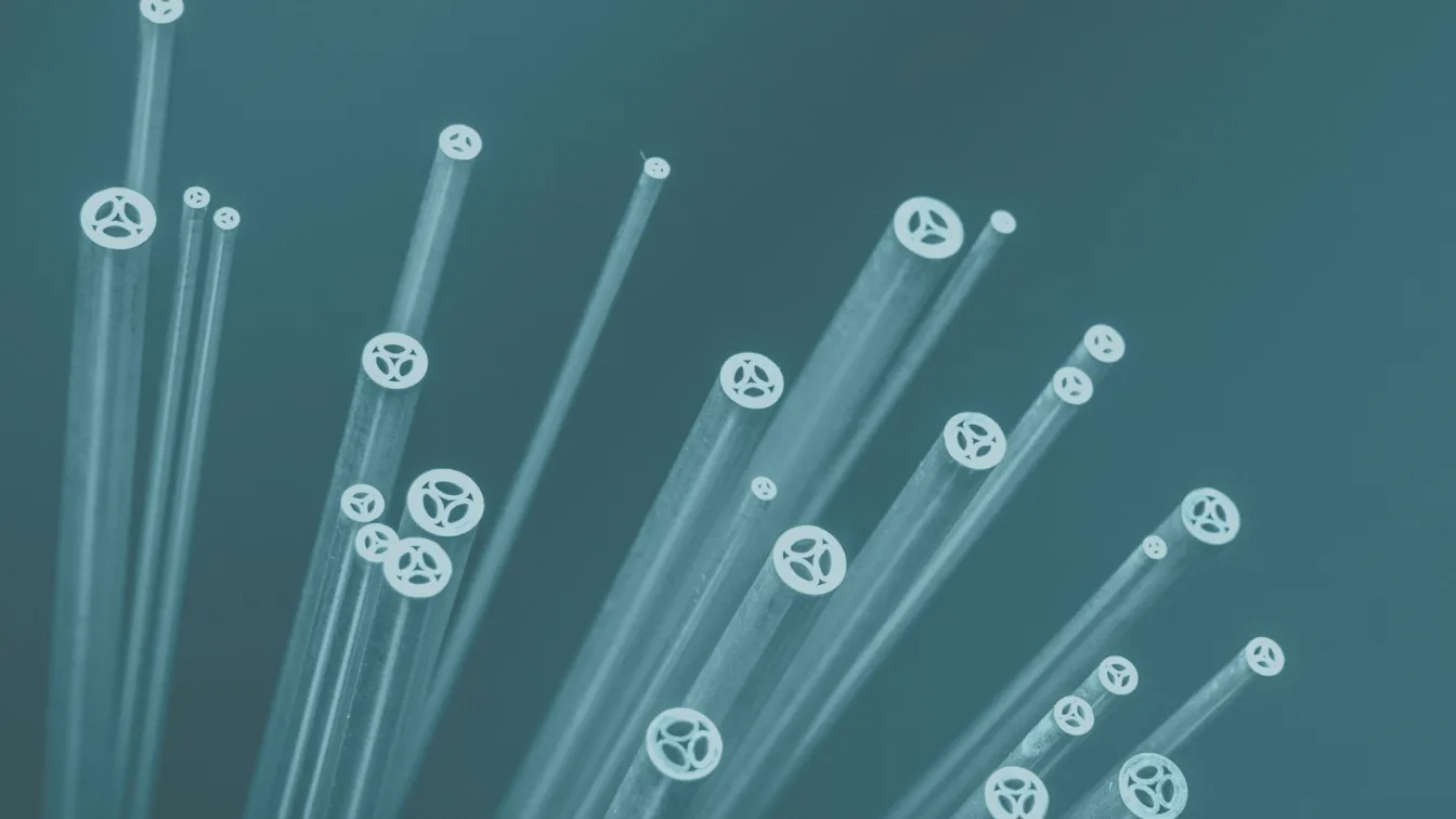 2008-03-0-erodex-header