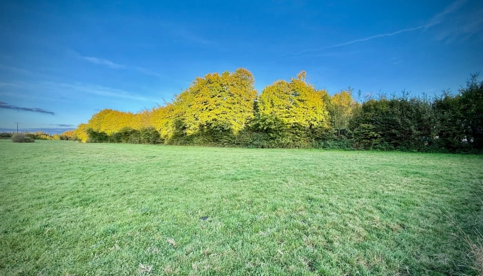 AI en de toekomst van werk