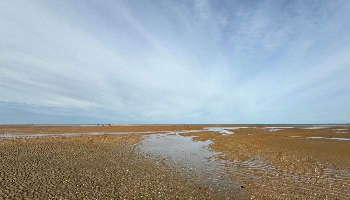 Enreach Contact, van transcriptie tot teamgenoot