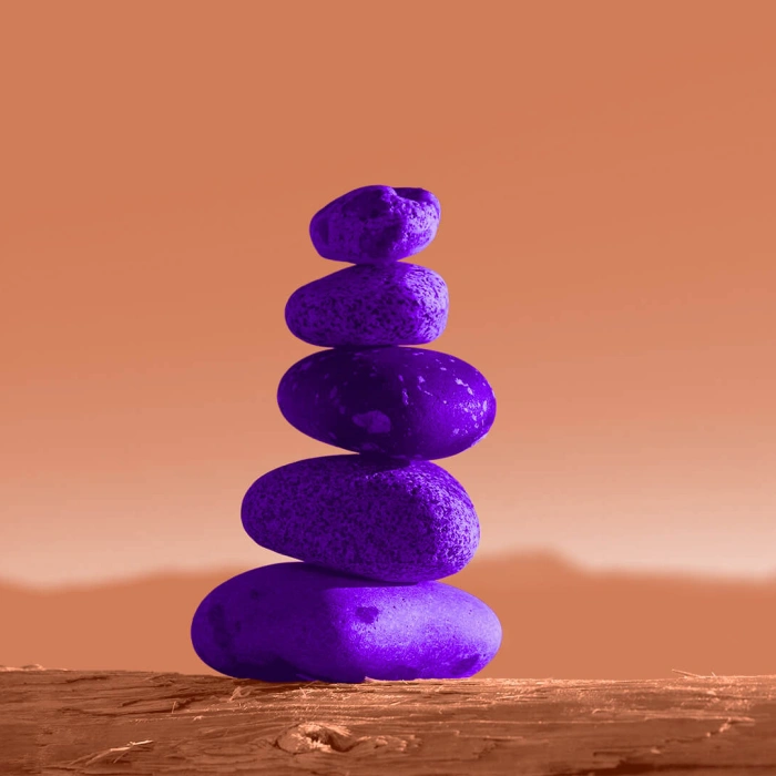 M Mobility and OSS Networks rebrand to Enreach