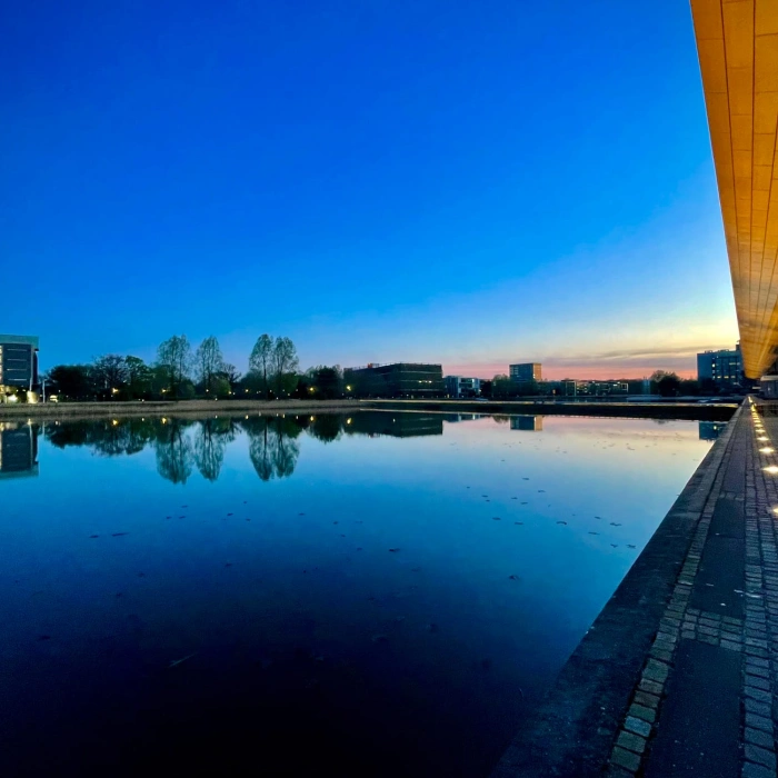 Wat is DialoX? Alles over het conversational AI-platform binnen Enreach Contact