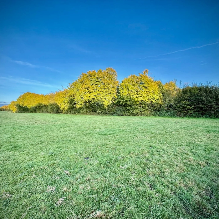 AI en de toekomst van werk