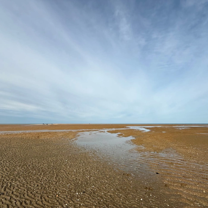 Enreach Contact, van transcriptie tot teamgenoot